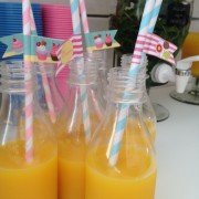 garrafinhas de plástico para tomarem suco