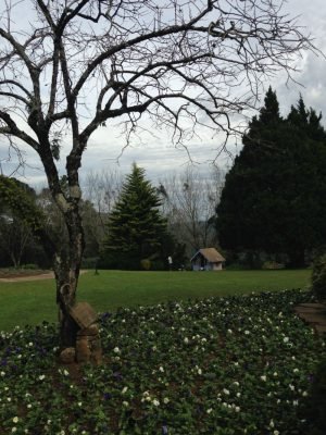 Parque das lavandas