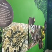 Exposição no antigo fórum de Ilhabela