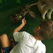 Exposição no antigo fórum de Ilhabela