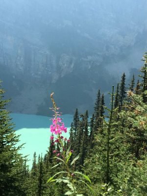 Mirante no alto da trilha de Lake Louise