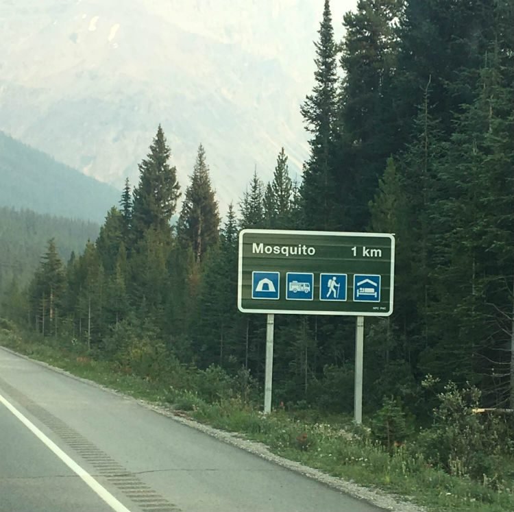Mosquito campground montanhas rochosas Canadá