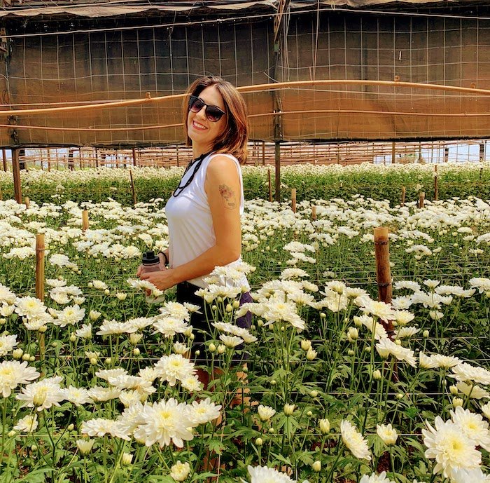 visita ao campo de flores em Holambra 