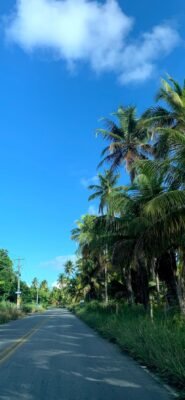 Alagoas_Estrada para sao Miguel