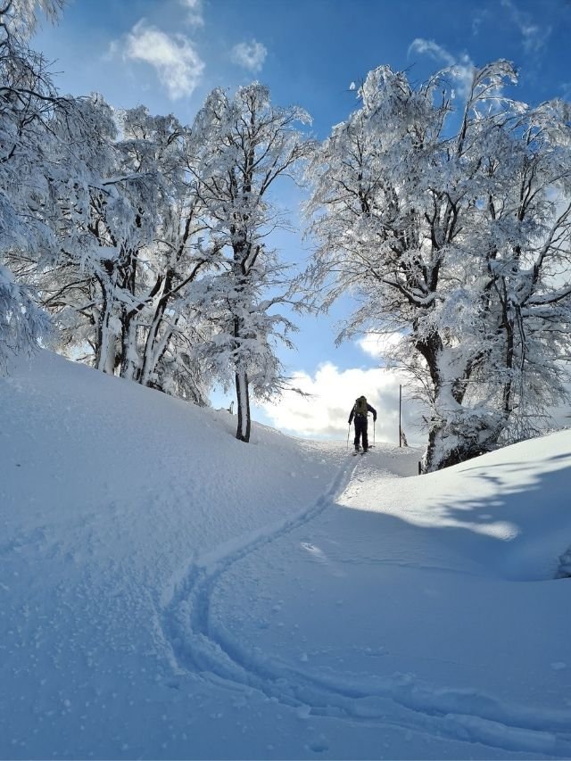 Destinos de neve perto do Brasil para as férias de inverno