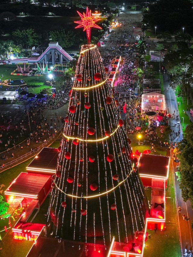 Árvore de Natal do Parque Villa Lobos já recebe visitantes