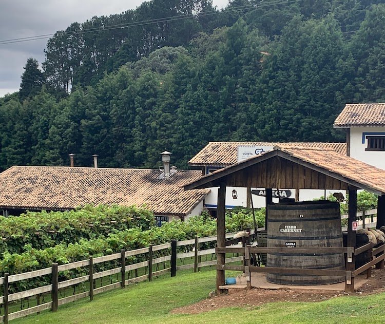 São Roque_Quinta do Olivardo