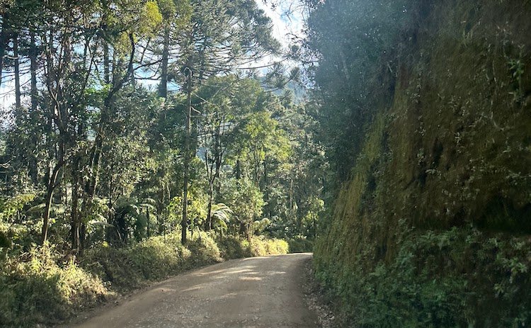 Gonçalves_estrada de terra